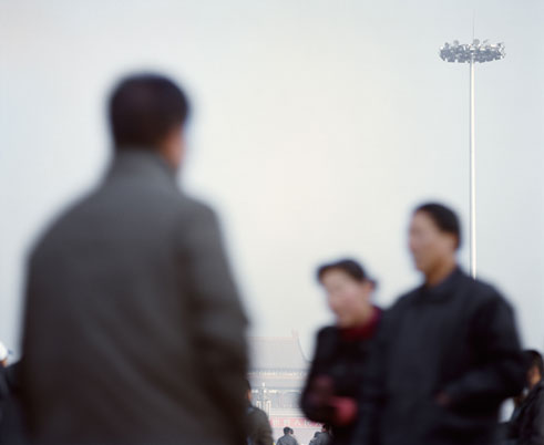 Study on Collective Individuality # 7