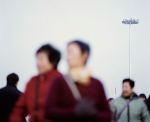 Study on Collective Individuality #8